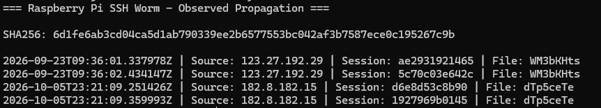 Observed Raspberry Pi worm propagation